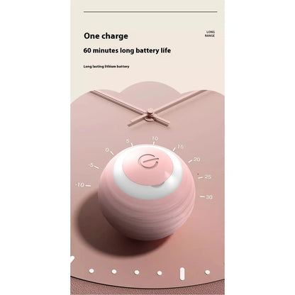 Smart Interactive Dog and Cat Toy Ball