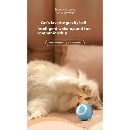 Smart Interactive Dog and Cat Toy Ball