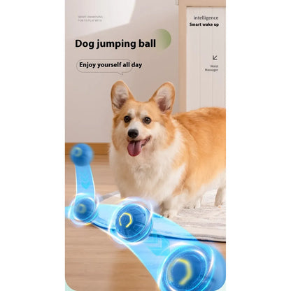 Smart Interactive Dog and Cat Toy Ball