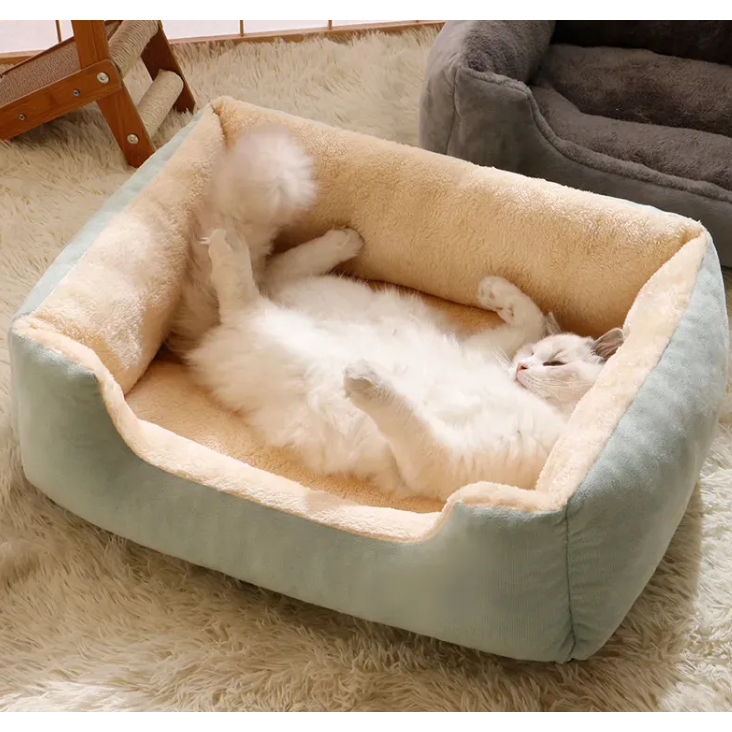 All-in-One Cat and Dog Bed