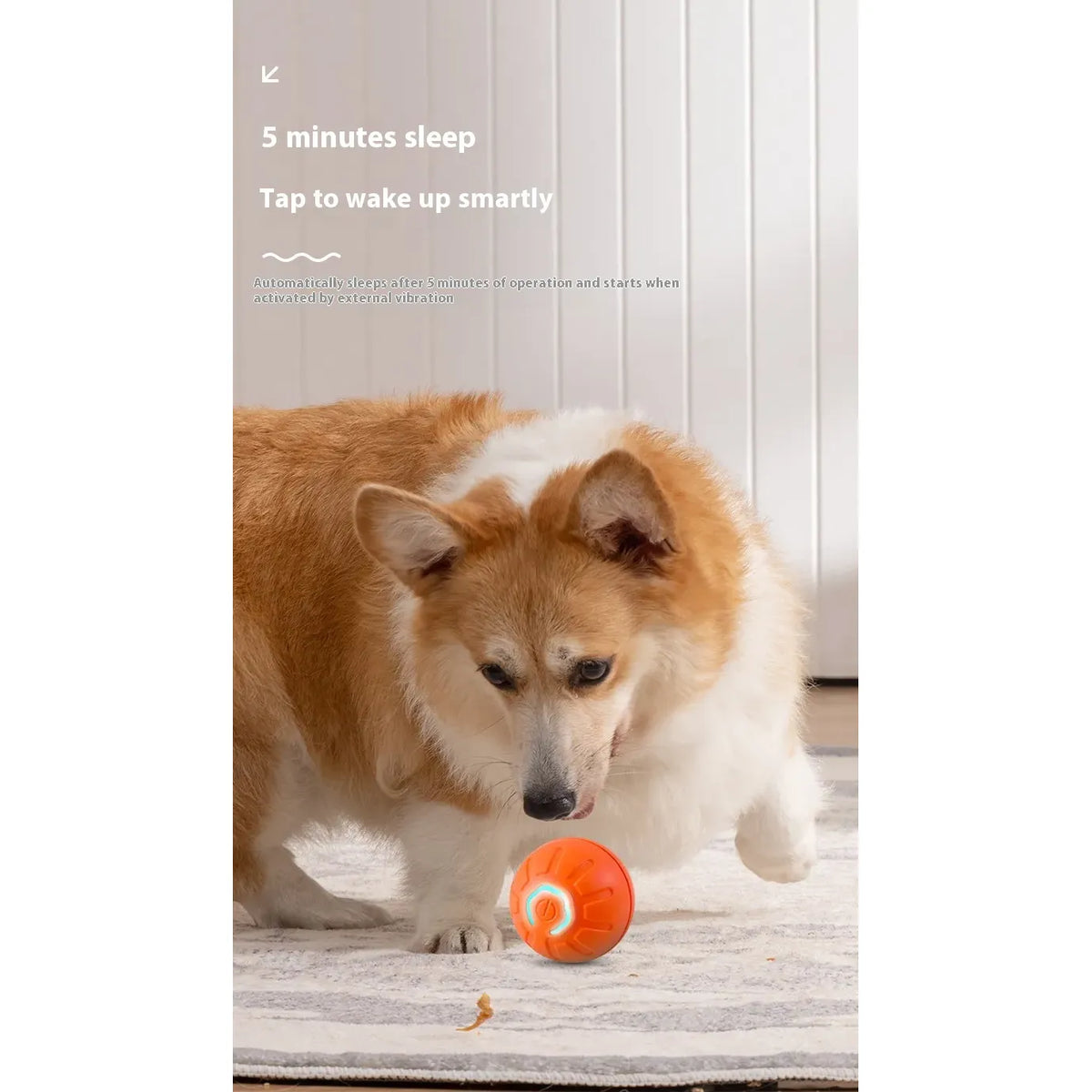 Smart Interactive Dog and Cat Toy Ball