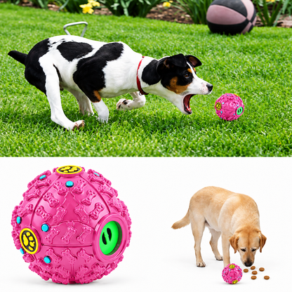 Chew 'n Play Sound Treat Ball for Dogs and Cats