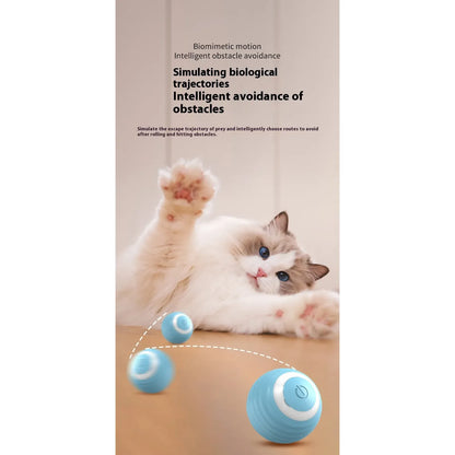 Smart Interactive Dog and Cat Toy Ball