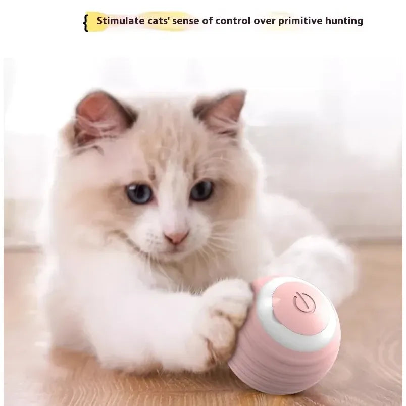 Smart Interactive Dog and Cat Toy Ball