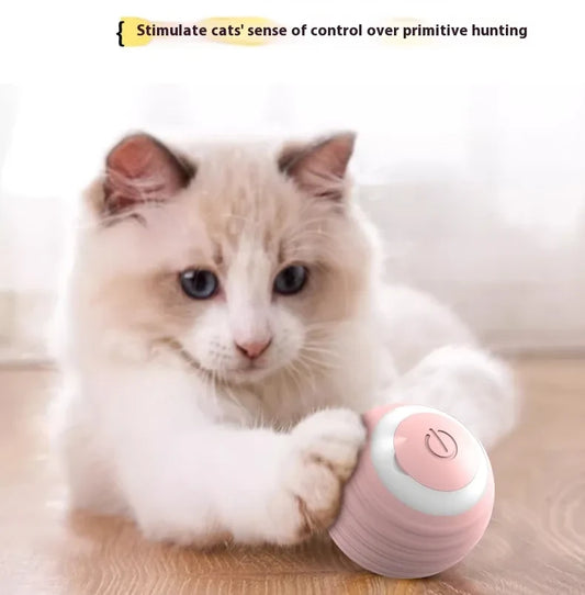 Smart Interactive Dog and Cat Toy Ball