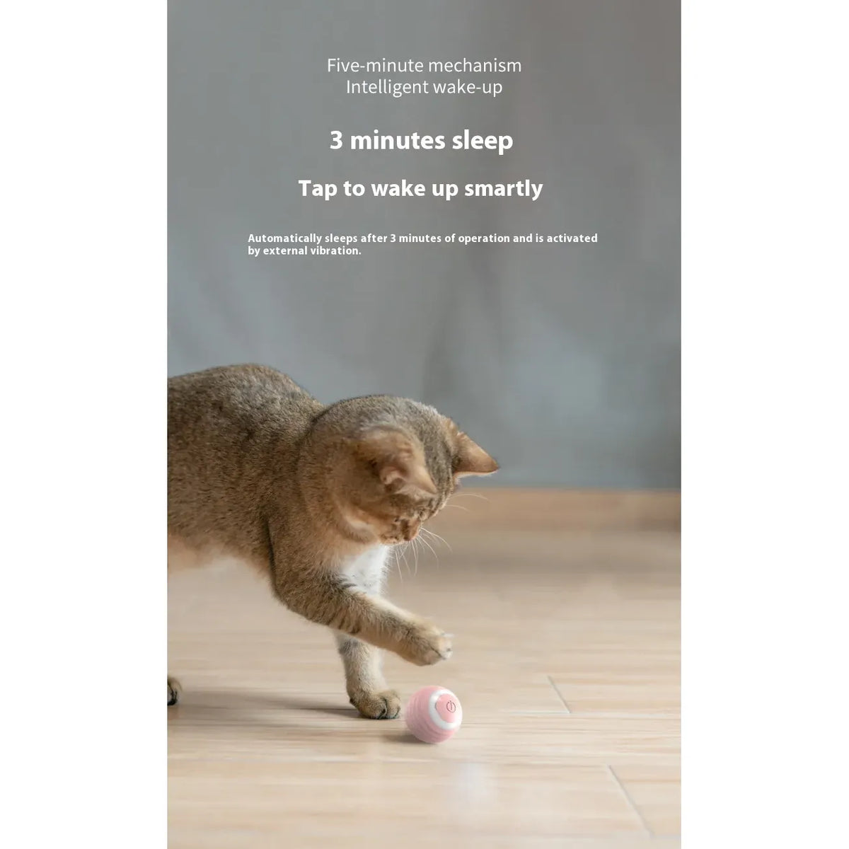 Smart Interactive Dog and Cat Toy Ball
