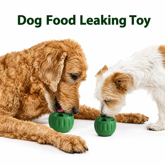 Dog Slow Feeder Toy Dish